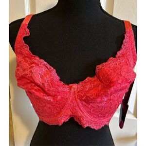 Q-T Intimates Bra Size 36DD